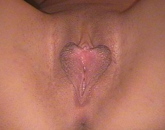 sluts in tiny skirts bent over heart shaped pussy lips nude